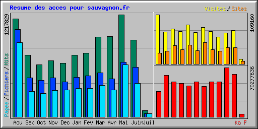 Resume des acces pour sauvagnon.fr
