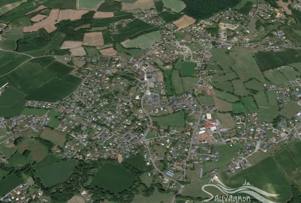 Sauvagnon (presque) dans le Top 100 national