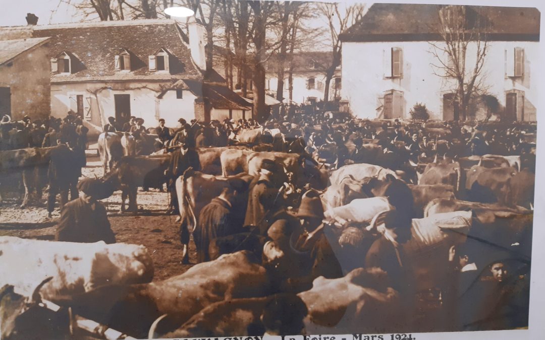 Quand  Sauvagnon comptait plus de 50 fermes…  