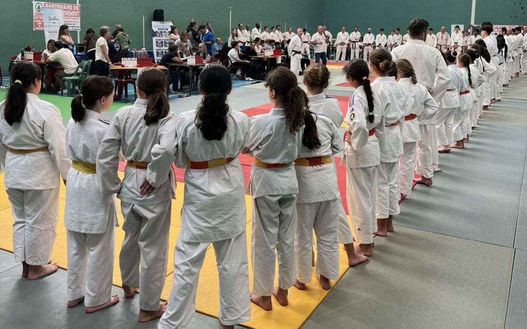 600 judokas à Sauvagnon !