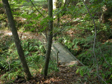 foret-entretien