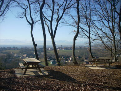 foret-oppidum