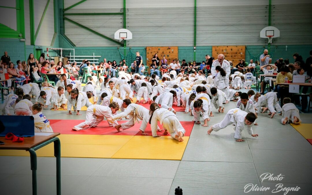 Réveil Sauvagnonnais: 500 judokas rassemblés… avec les compliments du Comité départemental !