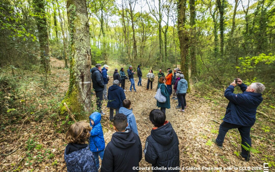 La fête de la Forêt a séduit