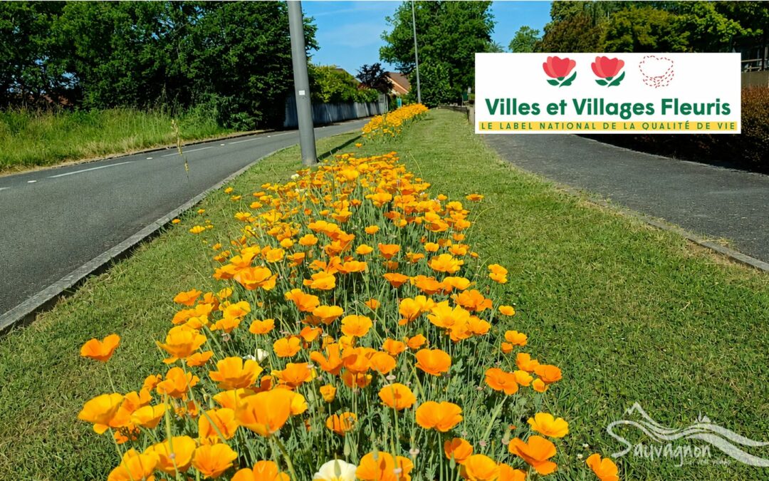 Les « recettes » pour un beau village — et vous, quel est votre rôle ?